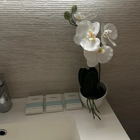 Barba Apartment Dubrovnik